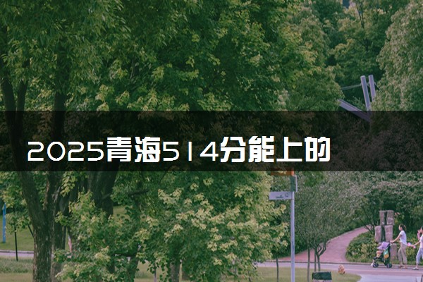 2025青海514分能上的大学有哪些 可以报考院校名单