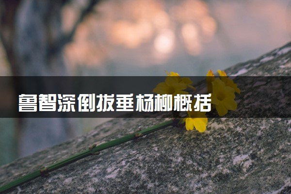 鲁智深倒拔垂杨柳概括