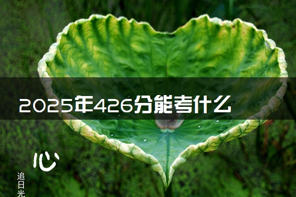 2025年426分能考什么财经类大学 哪些大学值得报