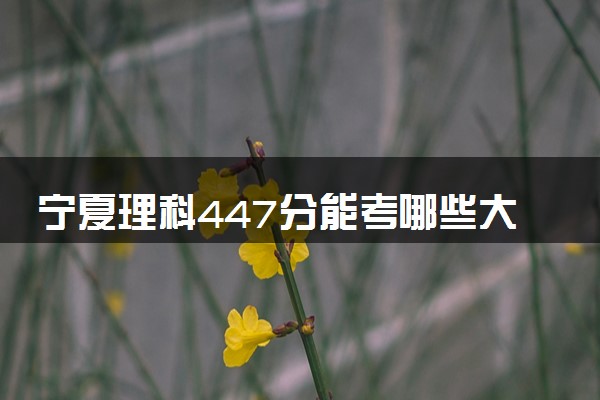 宁夏理科447分能考哪些大学 2025考生稳上的大学名单