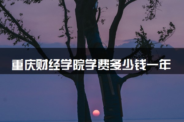 重庆财经学院学费多少钱一年 各专业收费标准（2025年参考）