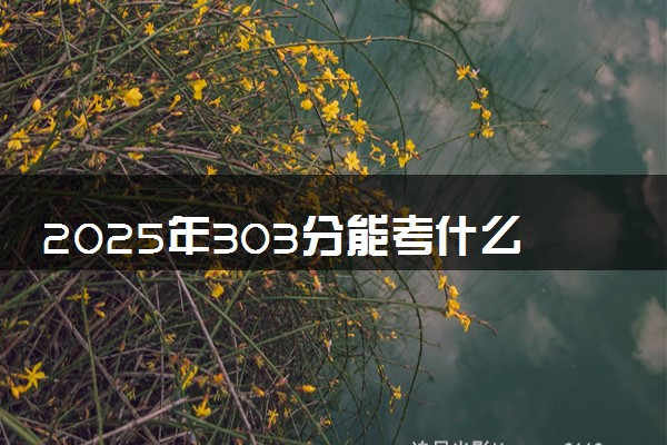2025年303分能考什么农林类大学 哪些大学值得报