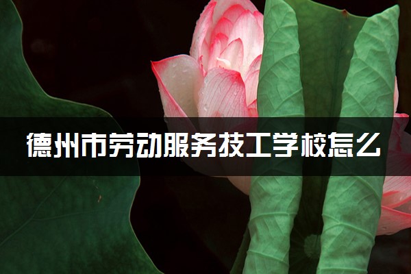 德州市劳动服务技工学校怎么样 好不好