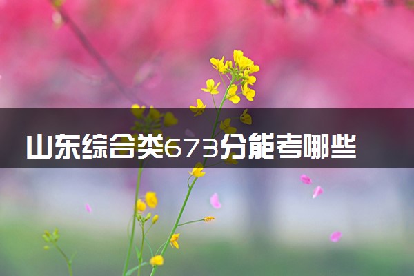 山东综合类673分能考哪些大学 2025考生稳上的大学名单