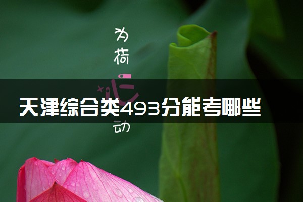 天津综合类493分能考哪些大学 2025考生稳上的大学名单