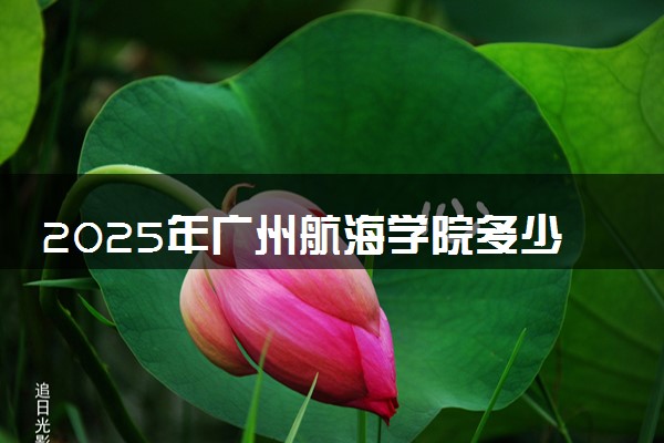 2025年广州航海学院多少分能考上 最低分及位次