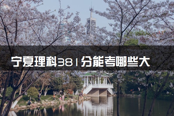 宁夏理科381分能考哪些大学 2025考生稳上的大学名单