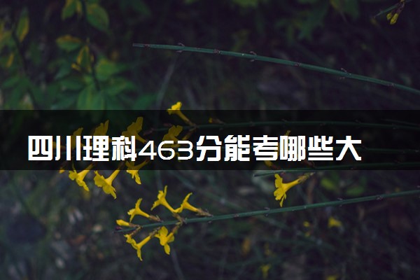 四川理科463分能考哪些大学 2025考生稳上的大学名单