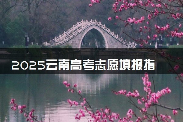 2025云南高考志愿填报指南 填报技巧及流程
