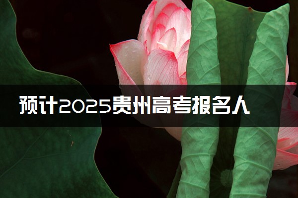 预计2025贵州高考报名人数 高考卷是全国几卷