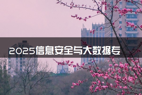 2025信息安全与大数据专业哪个好 应该怎么选