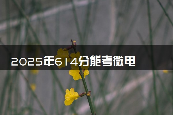 2025年614分能考微电子科学与工程专业吗 614分微电子科学与工程专业大学推荐