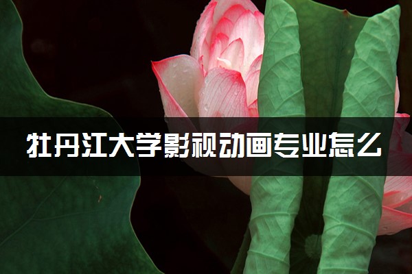 牡丹江大学影视动画专业怎么样 录取分数线多少
