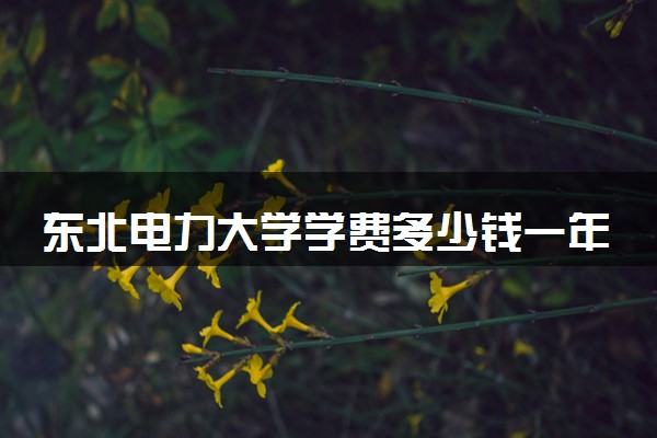 东北电力大学学费多少钱一年 各专业收费标准（2025年参考）