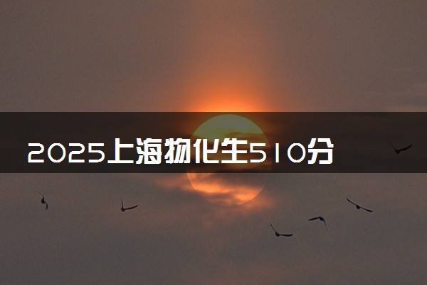 2025上海物化生510分左右能上什么大学 可以报考的院校名单
