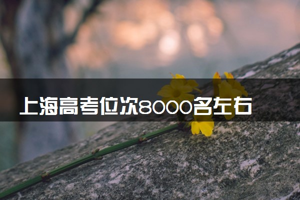 上海高考位次8000名左右报什么大学好（2025年参考）