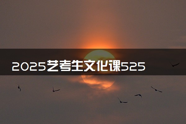 2025艺考生文化课525分能上常州工学院吗