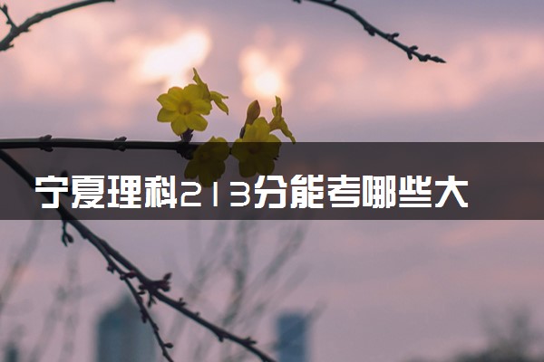 宁夏理科213分能考哪些大学 2025考生稳上的大学名单