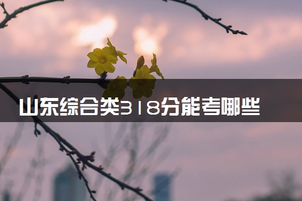 山东综合类318分能考哪些大学 2025考生稳上的大学名单