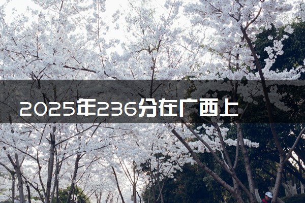2025年236分在广西上什么大学好 近三年录取分数线是多少