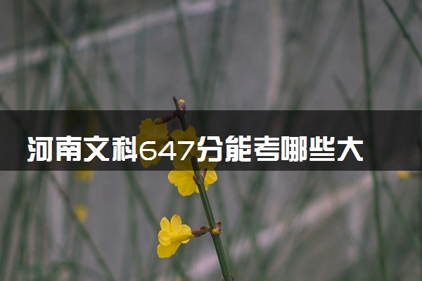 河南文科647分能考哪些大学 2025考生稳上的大学名单