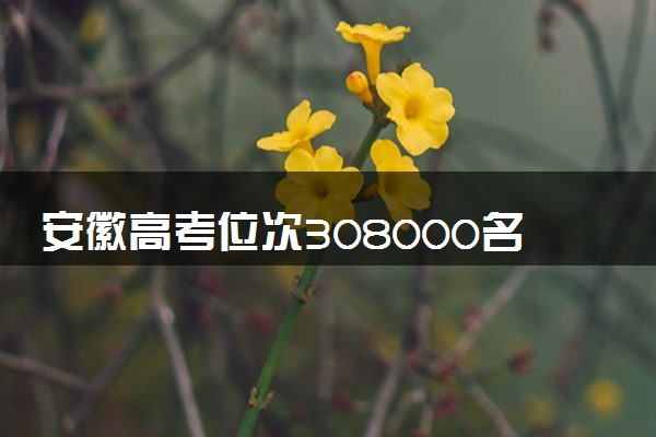 安徽高考位次308000名左右报什么大学好（2025年参考）