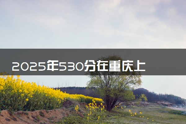 2025年530分在重庆上什么大学好 近三年录取分数线是多少