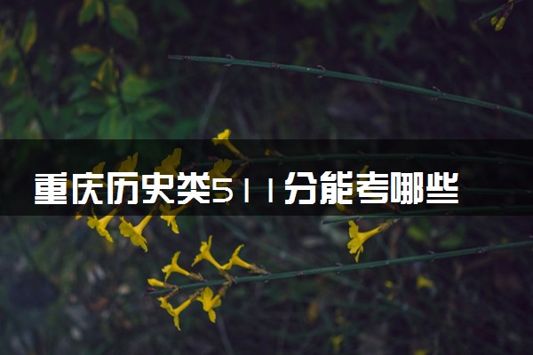 重庆历史类511分能考哪些大学 2025考生稳上的大学名单
