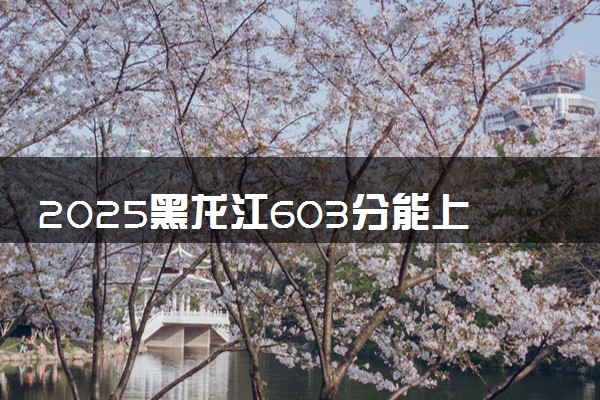 2025黑龙江603分能上的大学有哪些 可以报考院校名单
