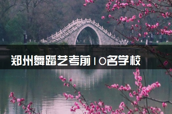 郑州舞蹈艺考前10名学校