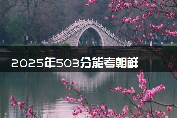 2025年503分能考朝鲜语专业吗 503分朝鲜语专业大学推荐