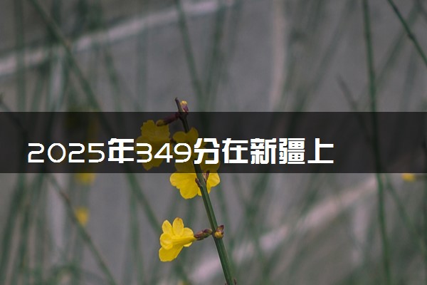 2025年349分在新疆上什么大学好 近三年录取分数线是多少
