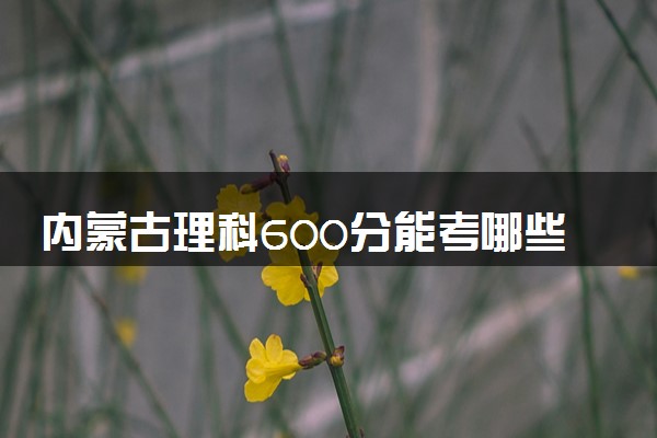 内蒙古理科600分能考哪些大学 2025考生稳上的大学名单