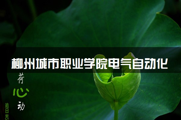 柳州城市职业学院电气自动化技术专业怎么样 录取分数线多少
