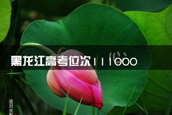 黑龙江高考位次111000名左右报什么大学好（2025年参考）