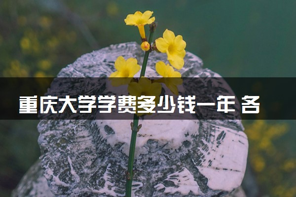 重庆大学学费多少钱一年 各专业收费标准（2025年参考）