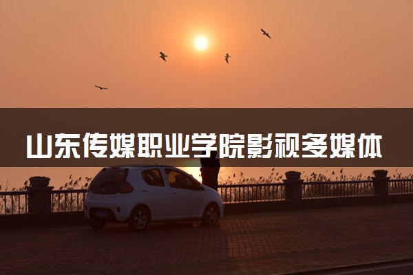 山东传媒职业学院影视多媒体技术专业怎么样 录取分数线多少
