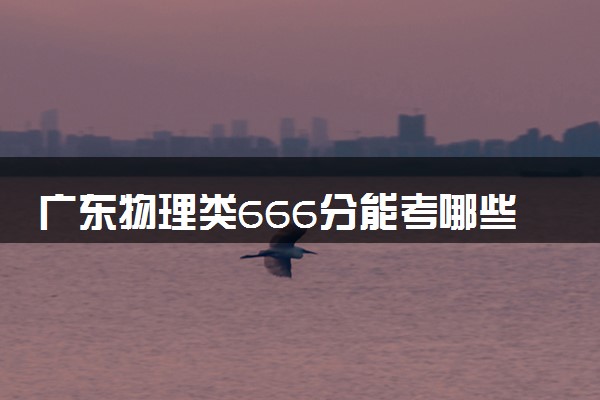 广东物理类666分能考哪些大学 2025考生稳上的大学名单