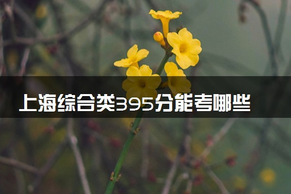 上海综合类395分能考哪些大学 2025考生稳上的大学名单