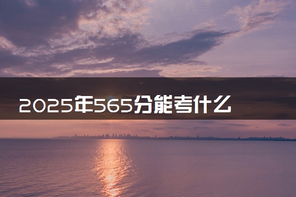 2025年565分能考什么语言类大学 哪些大学值得报