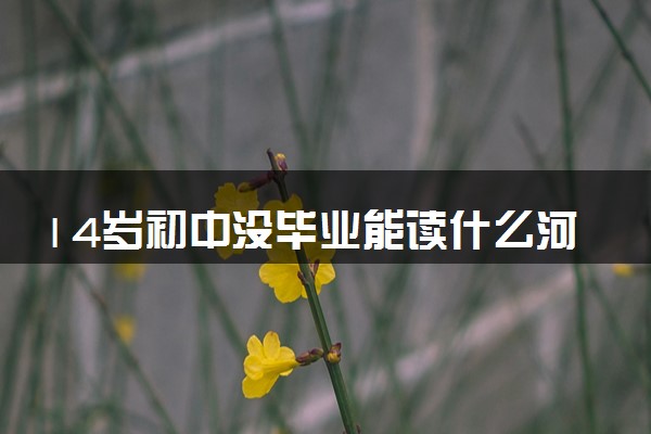 14岁初中没毕业能读什么河南技校 选哪所院校好