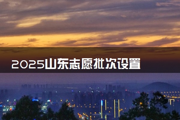 2025山东志愿批次设置 能填几个院校和专业