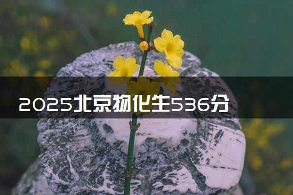 2025北京物化生536分左右能上什么大学 可以报考的院校名单