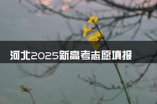 河北2025新高考志愿填报指南 附志愿设置及规则