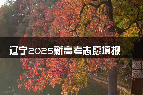 辽宁2025新高考志愿填报指南 附志愿设置及规则