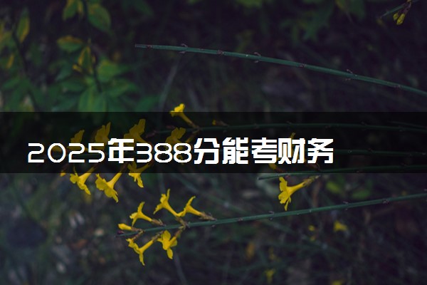 2025年388分能考财务管理专业吗 388分财务管理专业大学推荐