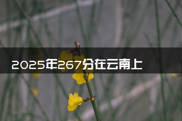 2025年267分在云南上什么大学好 近三年录取分数线是多少