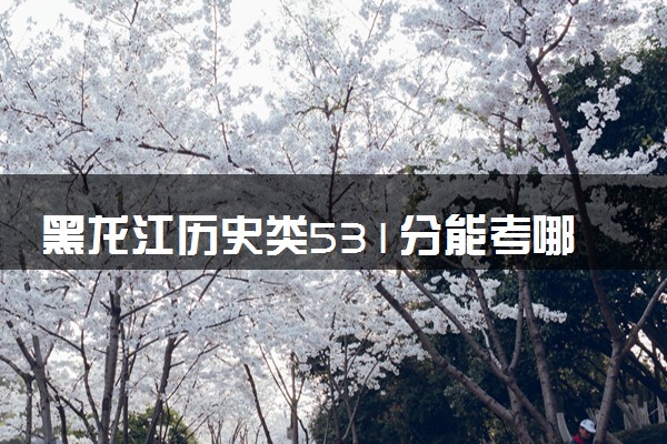 黑龙江历史类531分能考哪些大学 2025考生稳上的大学名单