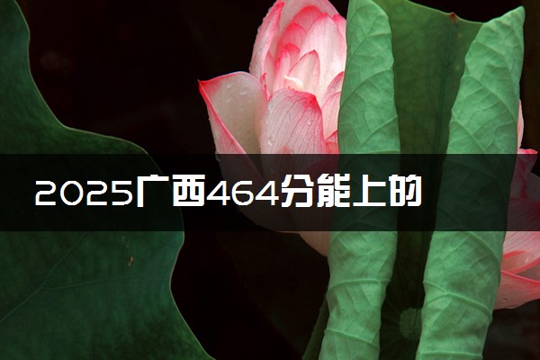 2025广西464分能上的大学有哪些 可以报考院校名单