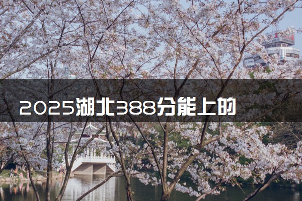 2025湖北388分能上的大学有哪些 可以报考院校名单